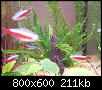         

:  IMGP0251_resize.JPG
:  580
:  210,8 KB