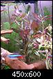         

:  IMGP0250_resize.jpg
:  582
:  146,9 KB