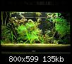         

:  P6200114.jpg
:  209
:  135,3 KB