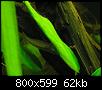         

:  P6200120.jpg
:  152
:  62,5 KB