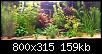         

:  1_resize.jpg
:  433
:  158,7 KB