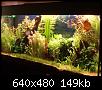         

:  P4250115.JPG
:  391
:  149,2 KB