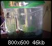         

:  DSC00055.jpg
:  475
:  46,2 KB