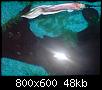         

:  DSC00056.jpg
:  319
:  48,1 KB