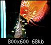         

:  12.jpg
:  432
:  67,9 KB