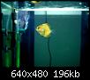         

:  17.jpg
:  517
:  195,7 KB