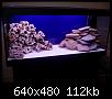        

:  P9180109.JPG
:  408
:  111,7 KB