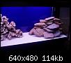         

:  P9180108.JPG
:  412
:  113,7 KB