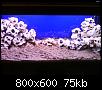         

:  DSC00120.jpg
:  662
:  75,2 KB
