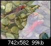         

:  Fish2.jpg
:  647
:  99,4 KB