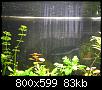         

:  P9290131.jpg
:  316
:  83,4 KB