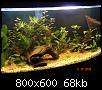         

:  DSC00963.jpg
:  307
:  67,5 KB