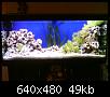         

:  DSC00182.JPG
:  395
:  49,4 KB