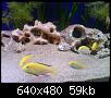         

:  DSC00179.JPG
:  365
:  59,3 KB