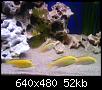         

:  DSC00177.JPG
:  364
:  52,4 KB