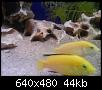         

:  DSC00147.JPG
:  379
:  44,4 KB