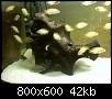         

:  100708125626.jpg
:  832
:  42,2 KB