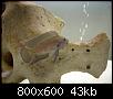         

:  DSCN0420.jpg
:  795
:  43,1 KB