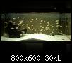         

:  100708125610.jpg
:  384
:  29,5 KB