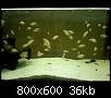         

:  100708125526.jpg
:  365
:  36,1 KB
