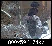         

:  HPIM0219.jpg
:  357
:  73,9 KB