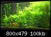         

:  006.jpg
:  550
:  100,4 KB