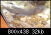         

:  DSC00301.jpg
:  308
:  31,7 KB