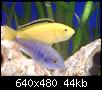         

:  DSC00266.JPG
:  824
:  43,5 KB