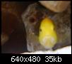         

:  DSC00271.JPG
:  820
:  35,0 KB