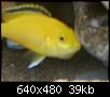         

:  DSC00278.JPG
:  880
:  38,9 KB