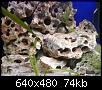         

:  DSC00292.JPG
:  405
:  74,4 KB