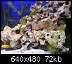         

:  DSC00293.JPG
:  424
:  71,9 KB