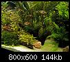         

:  PB200022 copy.jpg
:  778
:  143,6 KB