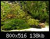         

:  PB200027 copy.jpg
:  744
:  137,7 KB