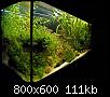         

:  PB200029 copy.jpg
:  798
:  111,1 KB