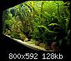         

:  PB200033 copy.jpg
:  799
:  127,6 KB