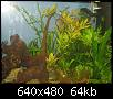         

:  IMG_2108.jpg
:  482
:  64,5 KB