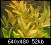         

:  IMG_2109.jpg
:  390
:  51,9 KB