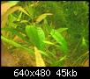         

:  IMG_2112.jpg
:  403
:  45,3 KB
