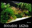         

:  PC060254.jpg
:  332
:  161,8 KB