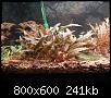         

:  my_crypt.JPG
:  398
:  240,9 KB