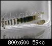         

:  P2140165.JPG
:  345
:  59,1 KB