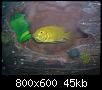         

:  11022009_002.jpg
:  257
:  45,4 KB