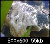         

:  074.jpg
:  290
:  54,5 KB