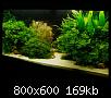         

:  bost22.jpg
:  382
:  169,0 KB