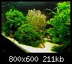         

:  bost21.jpg
:  348
:  211,2 KB