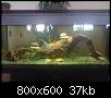         

:  12.jpg
:  466
:  37,2 KB
