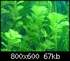         

:  DSC01368.jpg
:  680
:  67,2 KB