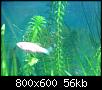         

:  DSC01371.jpg
:  678
:  56,4 KB