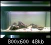         

:  1++.jpg
:  240
:  48,2 KB